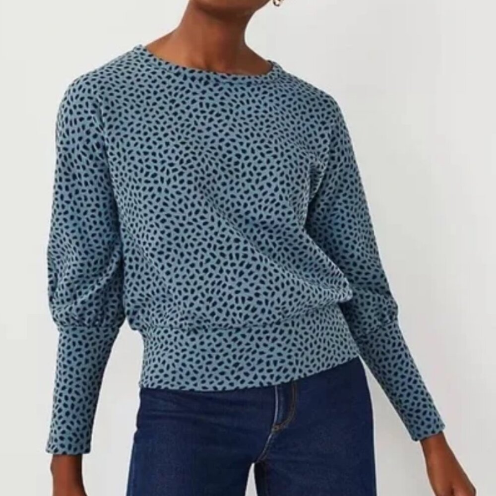 ANN TAYLOR Animal Print Dolman Sleeve Top